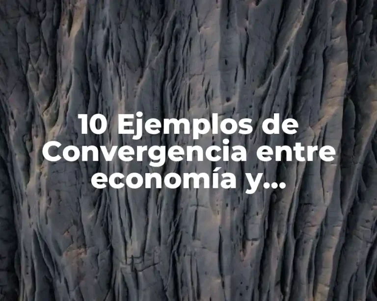 10 Ejemplos de Convergencia entre economía y medioambiente