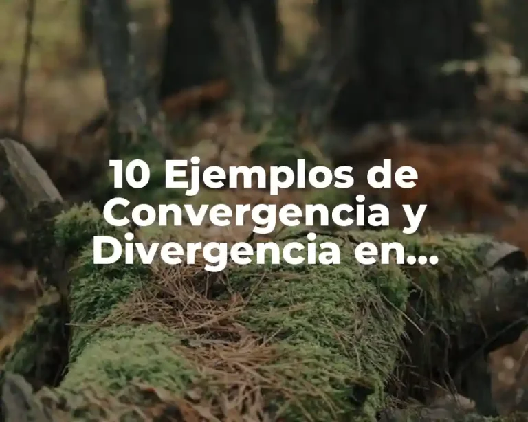 10 Ejemplos de Convergencia y Divergencia en Proyectos Educativos