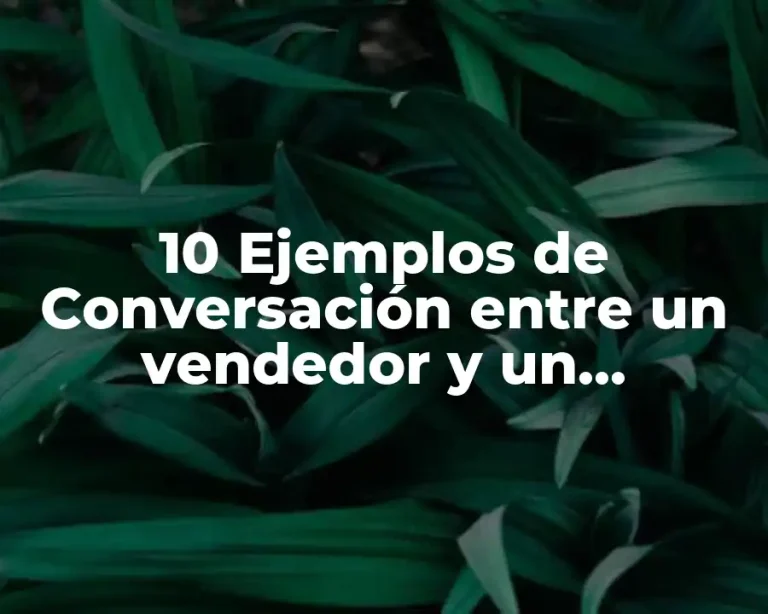 10 Ejemplos de Conversación entre un vendedor y un comprador
