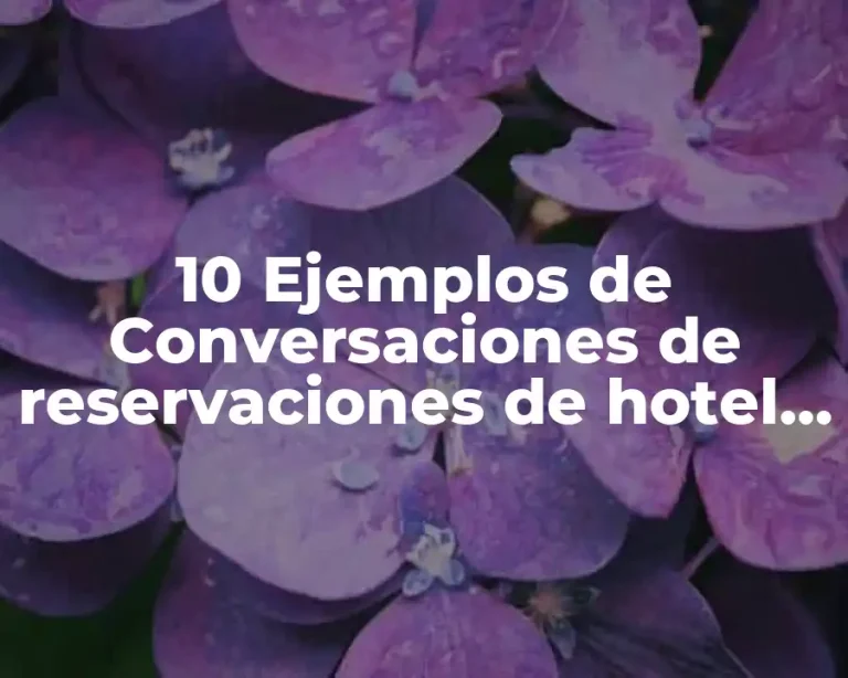 10 Ejemplos de Conversaciones de reservaciones de hotel en inglés