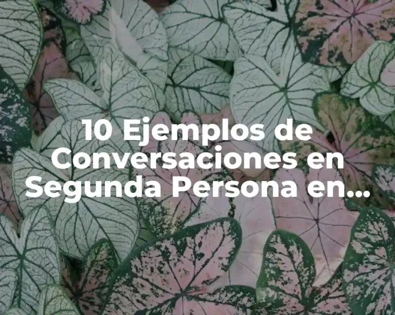 10 Ejemplos de Conversaciones en Segunda Persona en Español