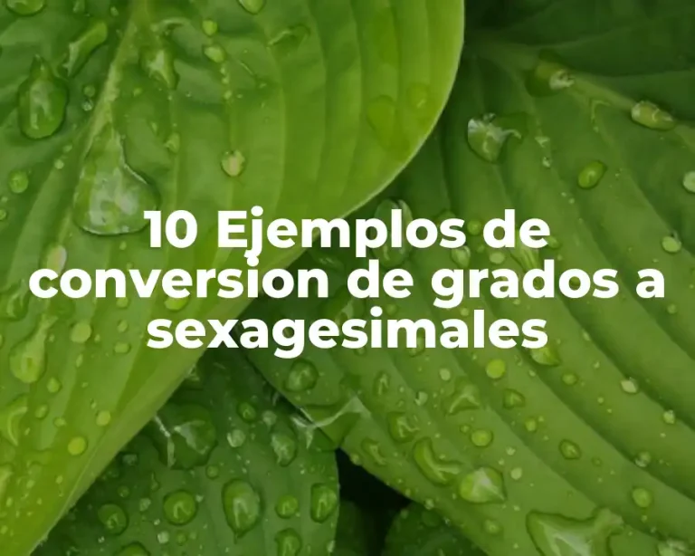 10 Ejemplos de conversion de grados a sexagesimales