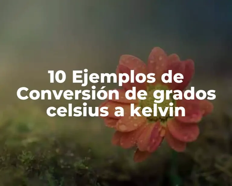 10 Ejemplos de Conversión de grados celsius a kelvin