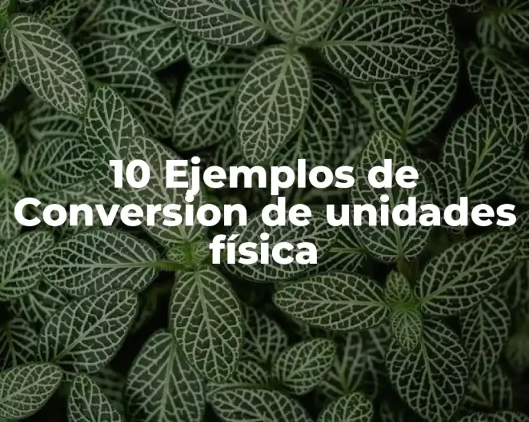 10 Ejemplos de Conversion de unidades física