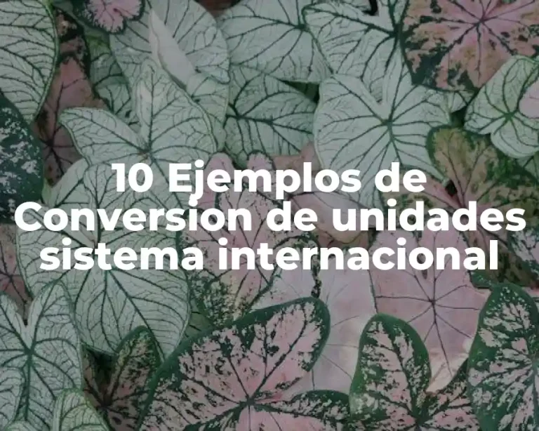 10 Ejemplos de Conversion de unidades sistema internacional