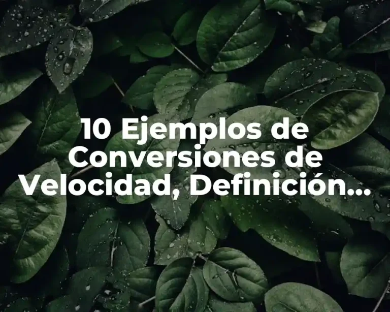 10 Ejemplos de Conversiones de Velocidad, Definición, Diferencias y para que sirve
