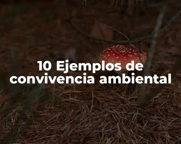 10 Ejemplos de convivencia ambiental