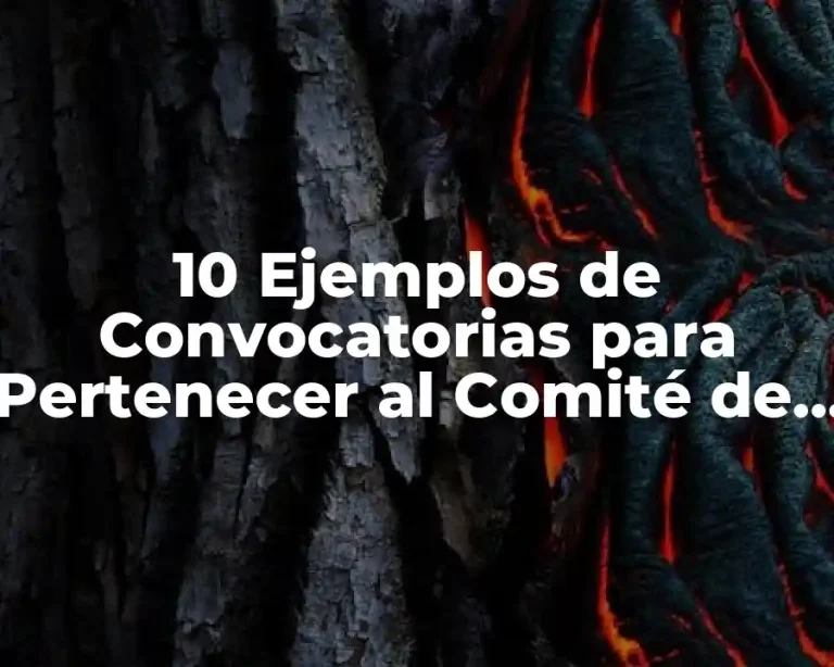 10 Ejemplos de Convocatorias para Pertenecer al Comité de Desayunador Escolar