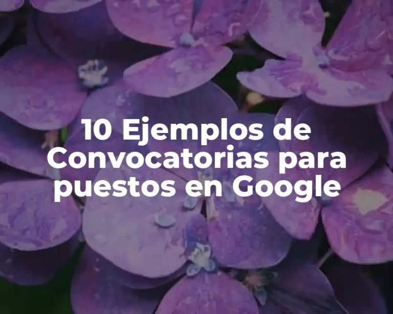 10 Ejemplos de Convocatorias para puestos en Google