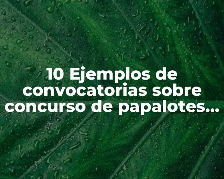 10 Ejemplos de convocatorias sobre concurso de papalotes, Definición, Diferencias y para que sirve