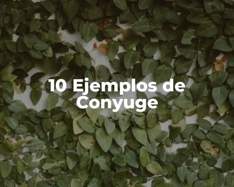 10 Ejemplos de Conyuge