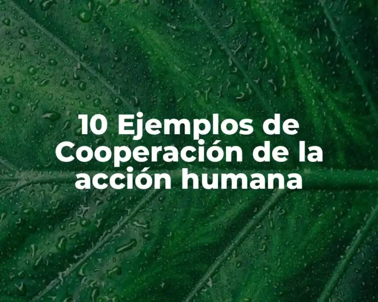 10 Ejemplos de Cooperación de la acción humana