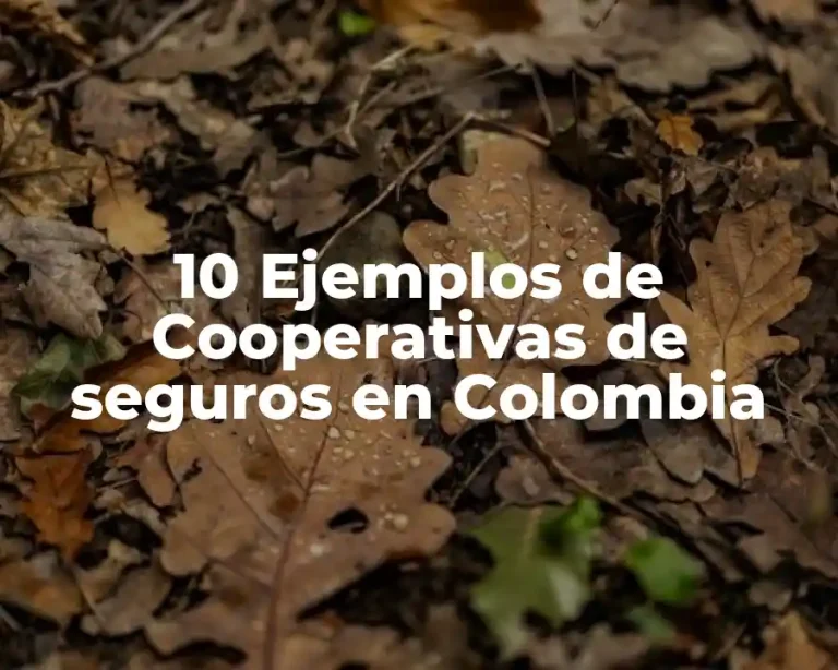10 Ejemplos de Cooperativas de seguros en Colombia