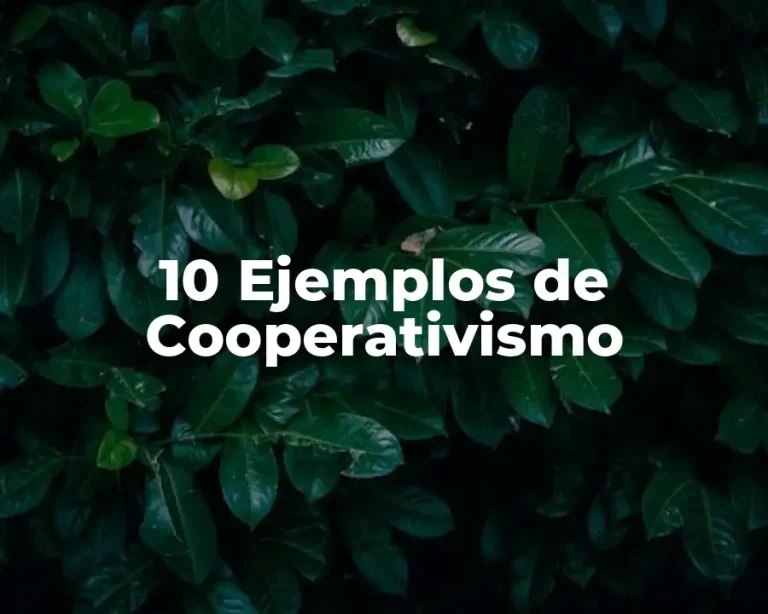 10 Ejemplos de Cooperativismo