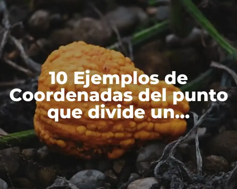 10 Ejemplos de Coordenadas del punto que divide un segmento lineal, Definición, Diferencias y para que sirve