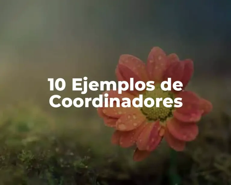 10 Ejemplos de Coordinadores