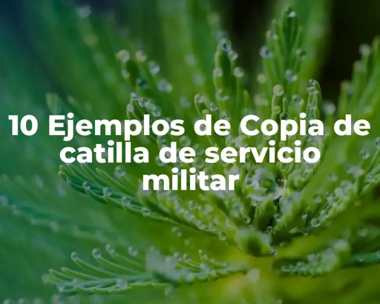 10 Ejemplos de Copia de catilla de servicio militar