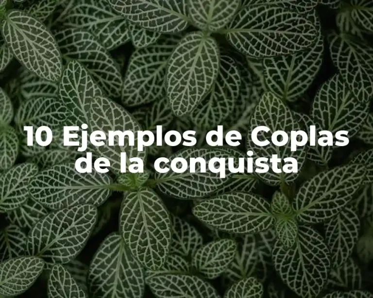 10 Ejemplos de Coplas de la conquista