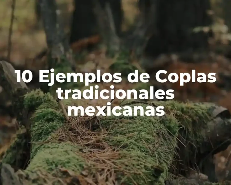 10 Ejemplos de Coplas tradicionales mexicanas