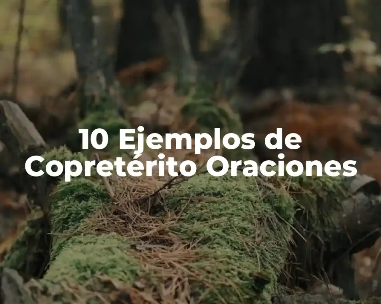 10 Ejemplos de Copretérito Oraciones
