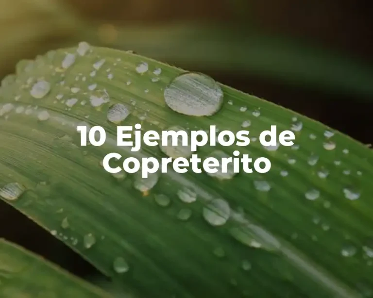 10 Ejemplos de Copreterito