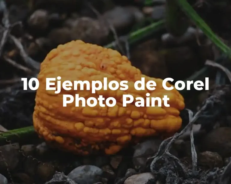 10 Ejemplos de Corel Photo Paint
