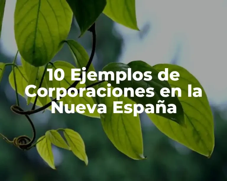 10 Ejemplos de Corporaciones en la Nueva España