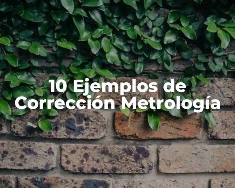 10 Ejemplos de Corrección Metrología