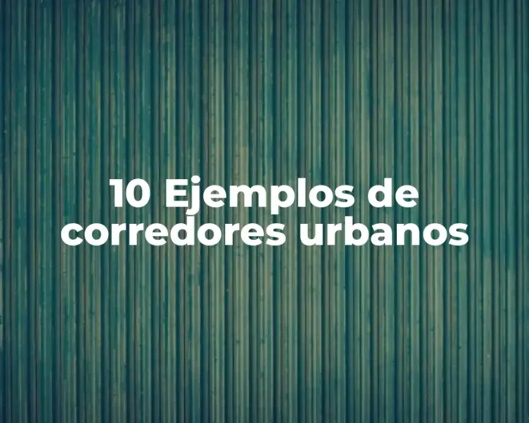 10 Ejemplos de corredores urbanos