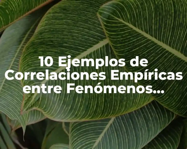 10 Ejemplos de Correlaciones Empíricas entre Fenómenos Sociales