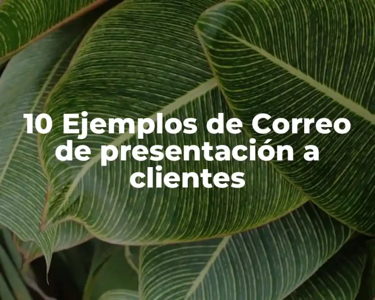 10 Ejemplos de Correo de presentación a clientes