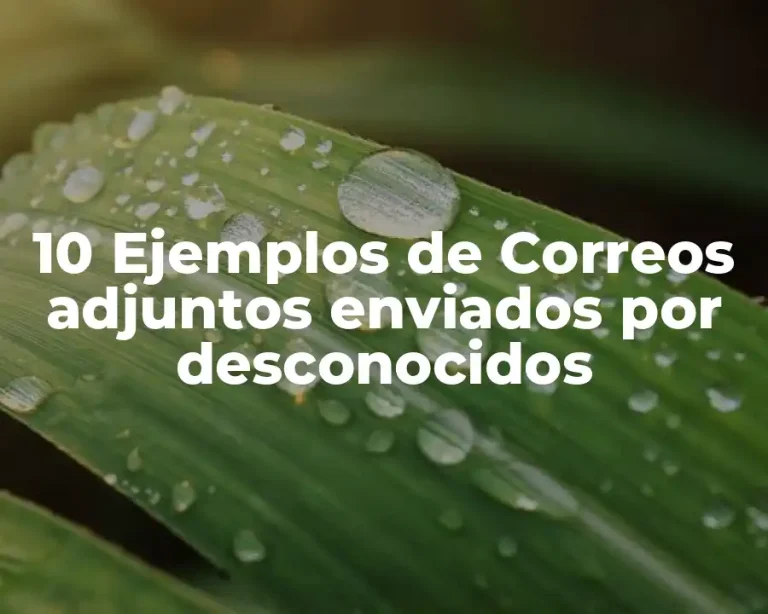 10 Ejemplos de Correos adjuntos enviados por desconocidos