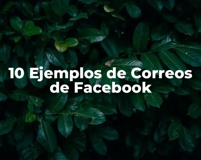 10 Ejemplos de Correos de Facebook