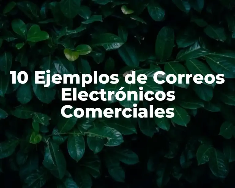 10 Ejemplos de Correos Electrónicos Comerciales