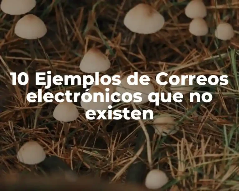 10 Ejemplos de Correos electrónicos que no existen