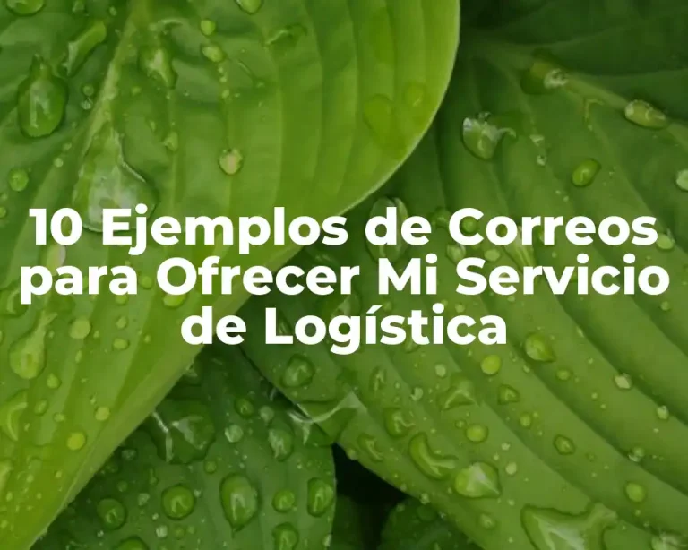10 Ejemplos de Correos para Ofrecer Mi Servicio de Logística