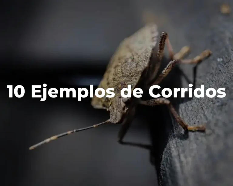 10 Ejemplos de Corridos