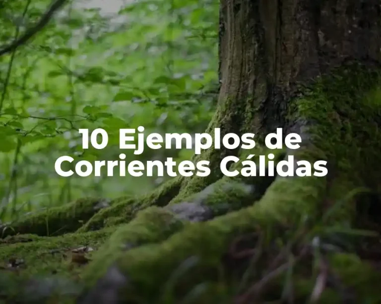 10 Ejemplos de Corrientes Cálidas