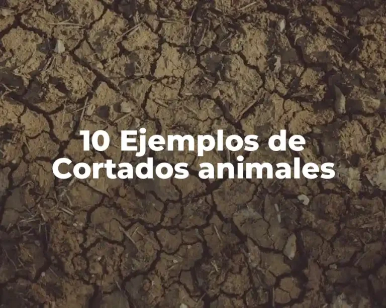 10 Ejemplos de Cortados animales
