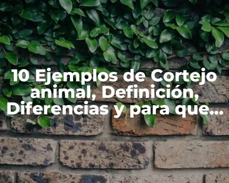 10 Ejemplos de Cortejo animal, Definición, Diferencias y para que sirve