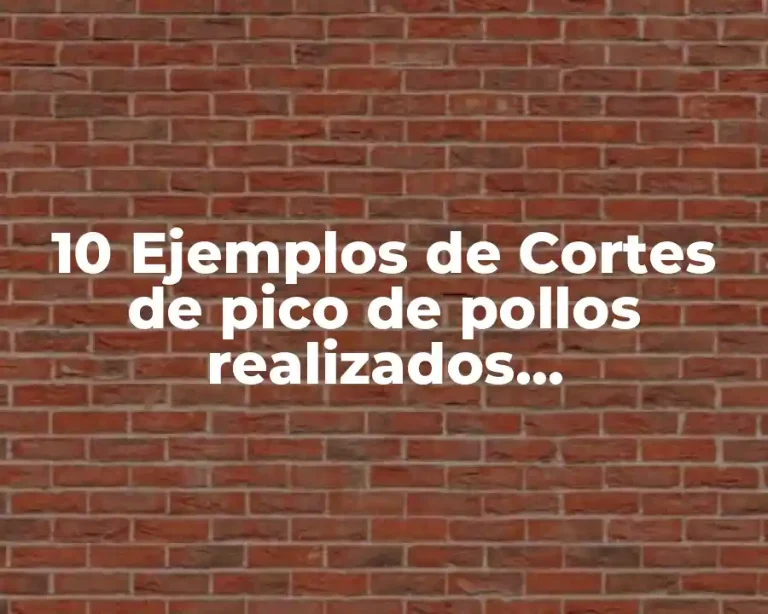 10 Ejemplos de Cortes de pico de pollos realizados correctamente