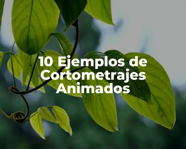 10 Ejemplos de Cortometrajes Animados