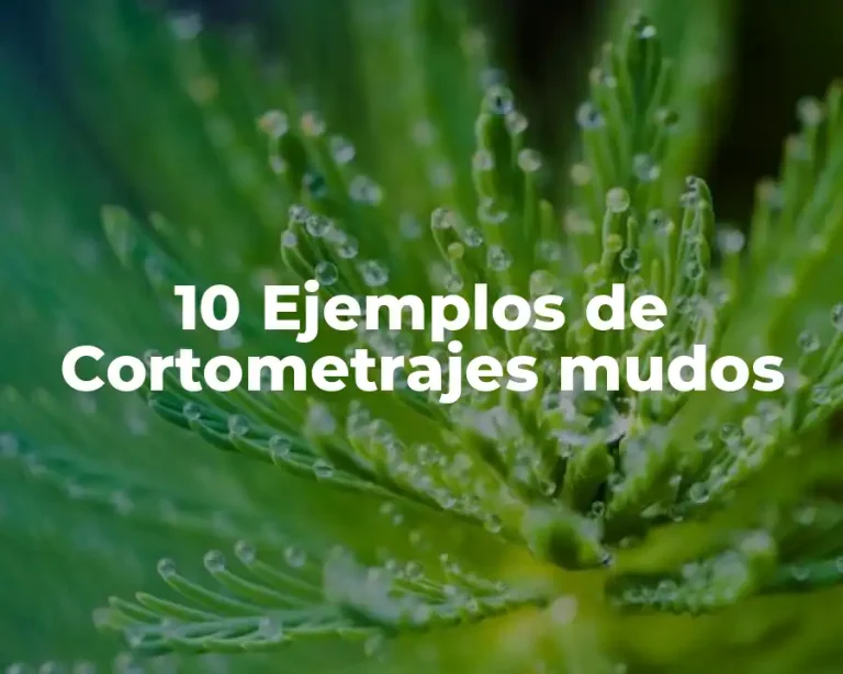 10 Ejemplos de Cortometrajes mudos