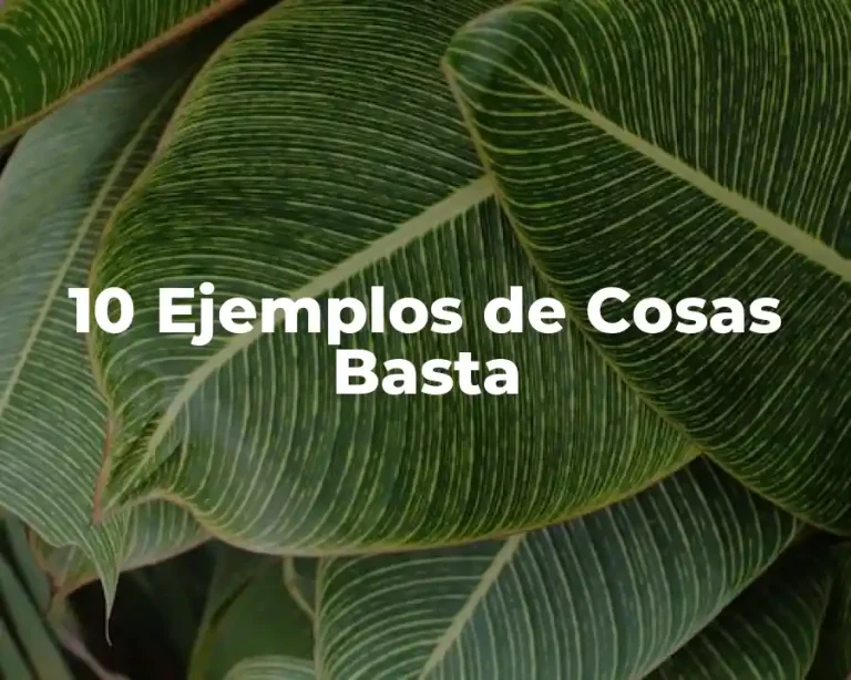 10 Ejemplos de Cosas Basta
