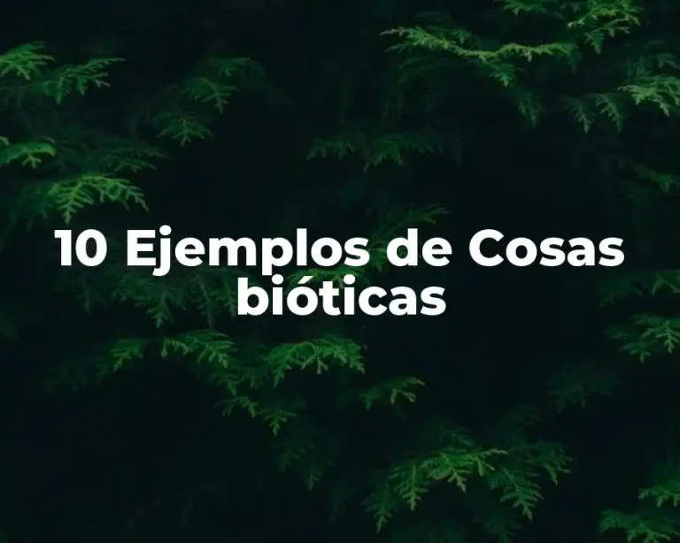 10 Ejemplos de Cosas bióticas