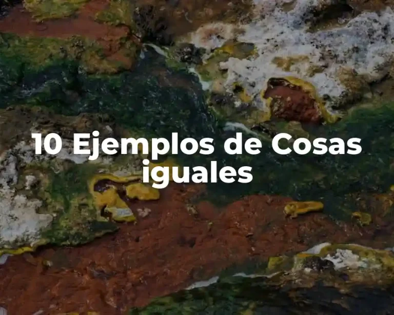 10 Ejemplos de Cosas iguales