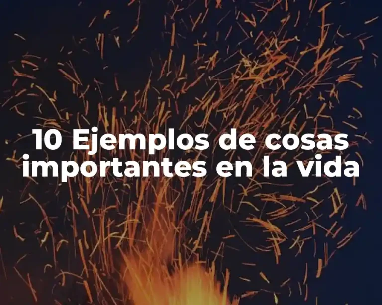 10 Ejemplos de cosas importantes en la vida