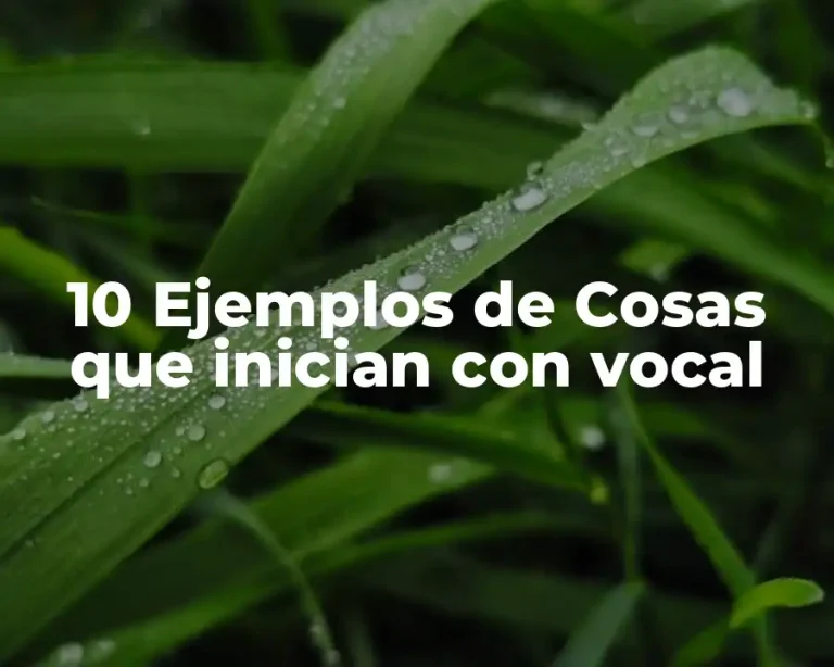 10 Ejemplos de Cosas que inician con vocal