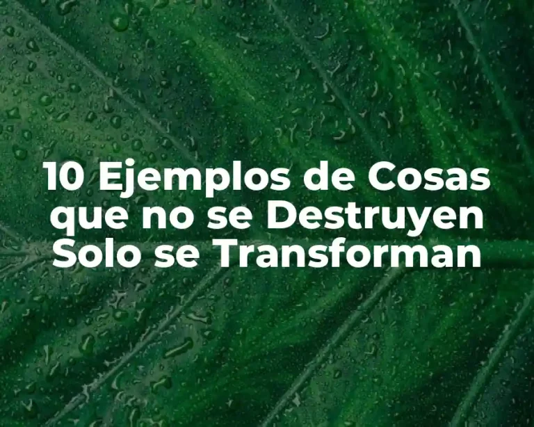 10 Ejemplos de Cosas que no se Destruyen Solo se Transforman
