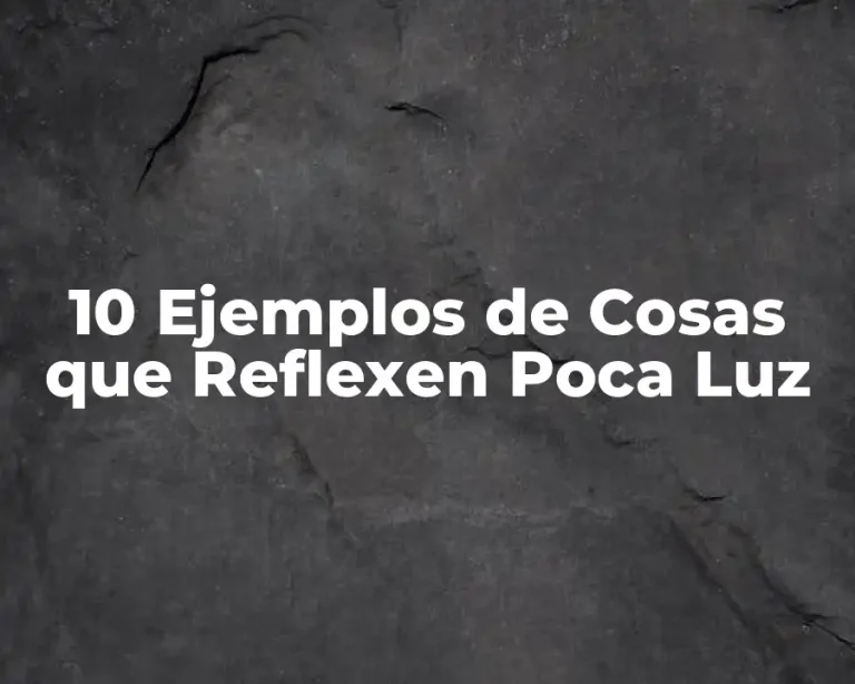 10 Ejemplos de Cosas que Reflexen Poca Luz